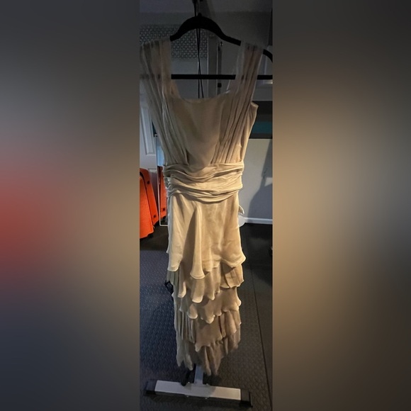 Lucia Rodriguez Champagne Gown Size 2 - Picture 5 of 8